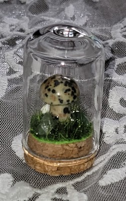 Victorian Trading Enchanted Forest Golden Mushroom Glass Cloche Terrarium 29O