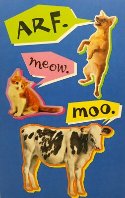 ''Three Different Languages!''Funny American Greetings Birthday Card with Envelope