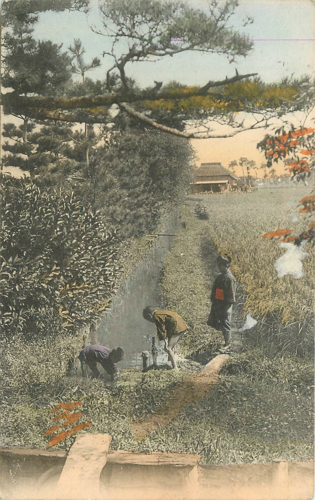 【農家】速達 Postcard Japan Farm Agriculture workers occupation 23-6320 | eBay