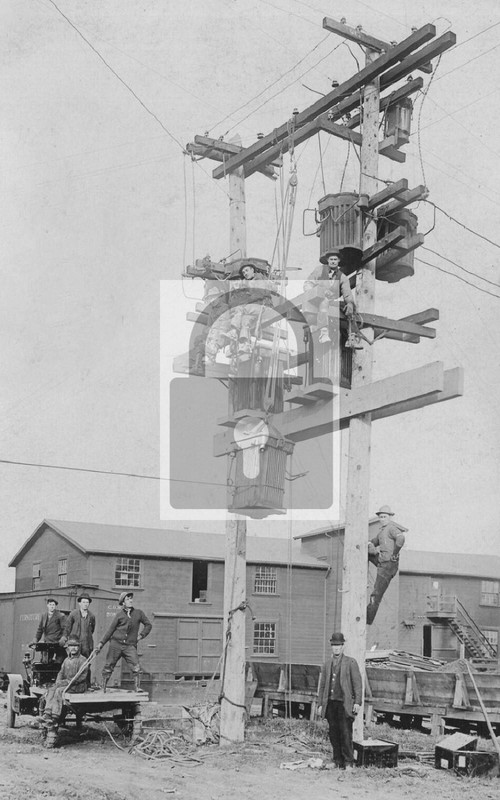 Electric Pole Lineman Utility Workers - REPRINT
