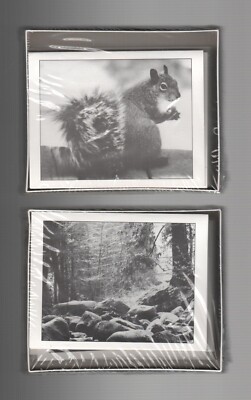 SET OF 2 New sealed in box: IDYLLWILD NOTECARDS w/ENV by Jeanne Henderson STK#B
