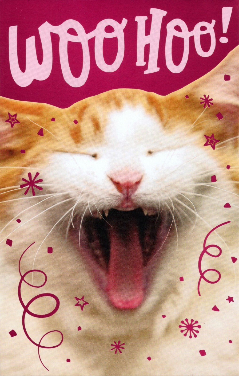 Funny HAPPY BIRTHDAY Card 😸Shouting Cat WOOHOO! by American Greetings + ✉ | eBay for Free Printable Funny Cat Birthday Cards
