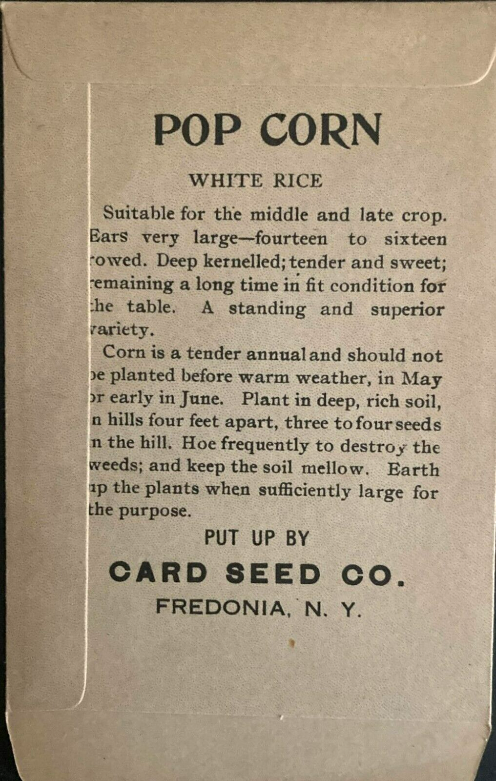 1908 Pop Corn White Rice Seed Packet - Card Seed Co. Fredonia, N.Y. "NOS"