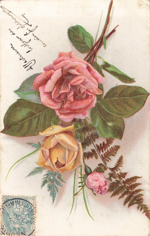 Cp Roses Fleurs - 20531