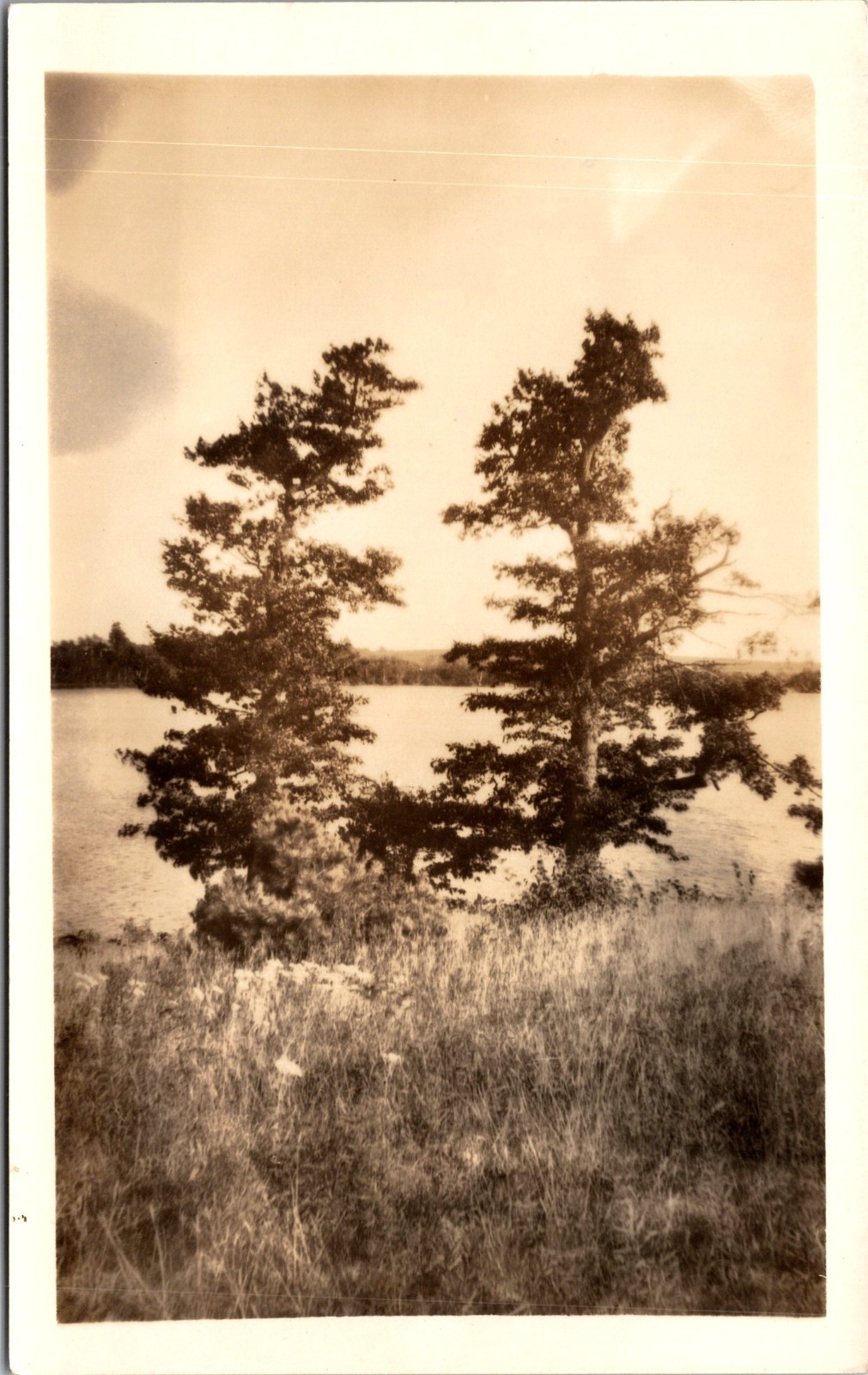 RPPC Wooded Lakeside or Riverside New York? Unidentified Postcard Real Photo