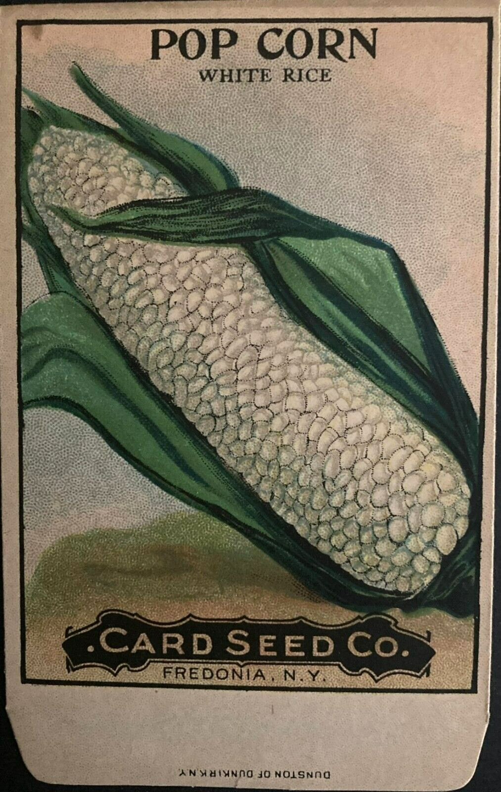 1908 Pop Corn White Rice Seed Packet - Card Seed Co. Fredonia, N.Y. "NOS"
