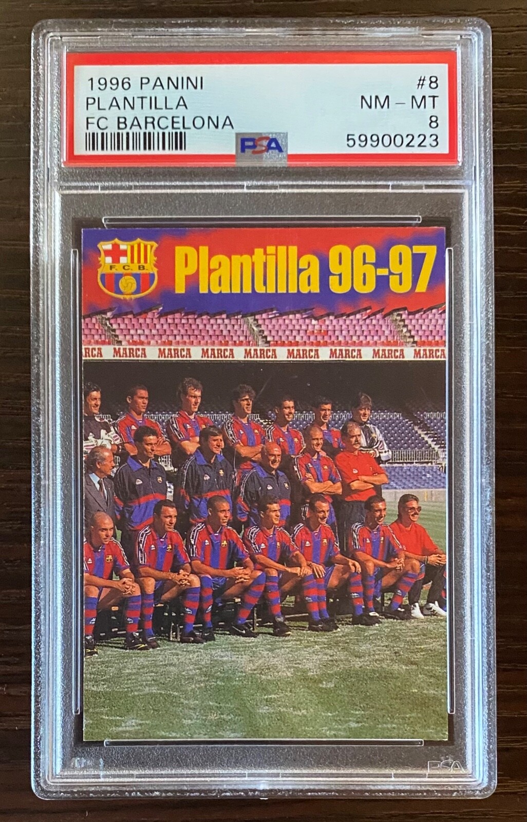 1996 Ronaldo Nazario R9 Panini Plantilla Team Card Pep