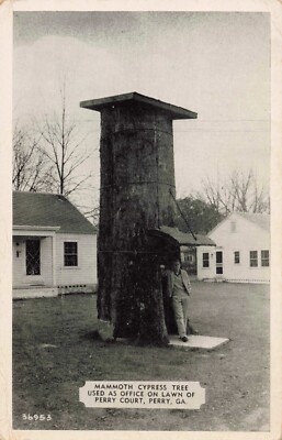 Mammoth Cypress Tree Being Used as Post Office, Perry Georgia Vintage PC