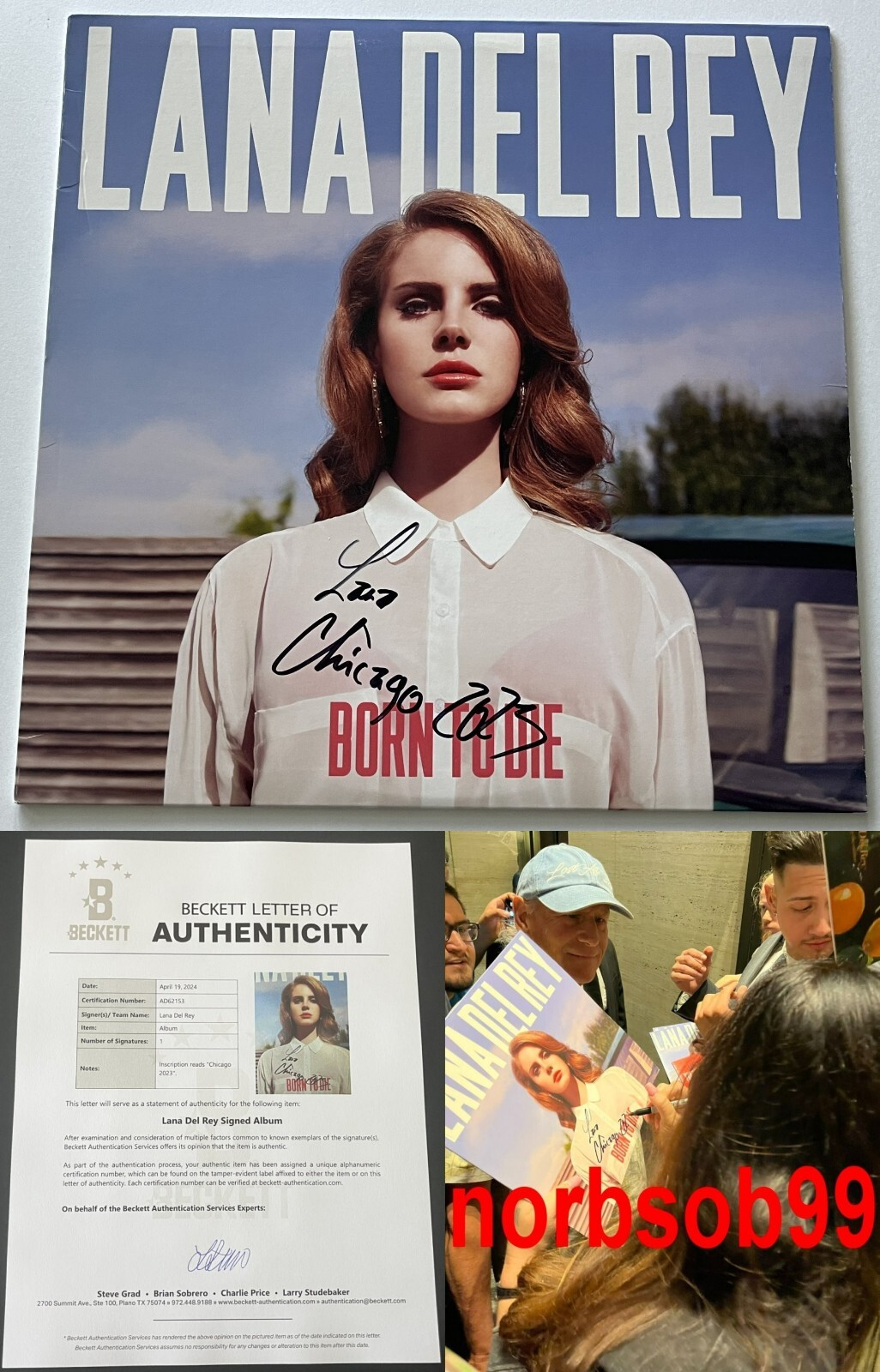 LANA DEL REY SIGNED AUTOGRAPH BORN TO DIE VINYL RECORD w