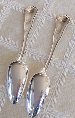 Set of 2 Sunkist Fruit/Orange Spoons Wm Rogers&Son 1910 AA International Silver