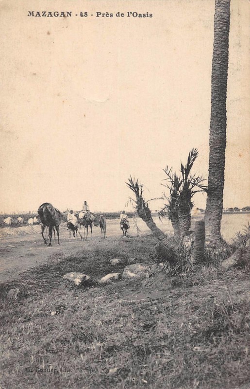 Cpa Maroc Mazagan Pres De L'Oasis