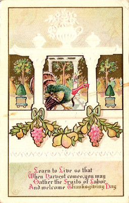 Postcard Learn to Live When Harvest Comes Gather Fruits of Labor Thanksgiving