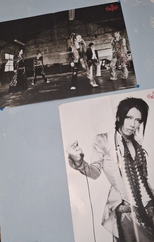The gazette B2 ポスター　littlehearts RUKI The Gazette/Gazette Ruki Limited Trading Card Photo Set | eBay