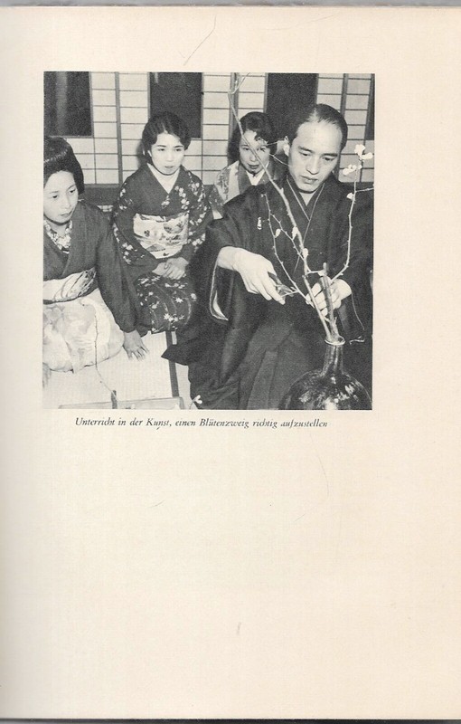 Friedrich Sieburg  Die StÃ¤Hlerne Blume  SocietÃ¤Ts Verlag 1939