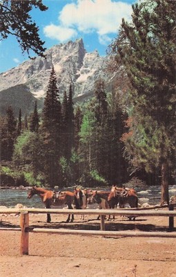 ETATS UNIS GRAND TETON GRAND TETON NATIONAL PARK WYOMING