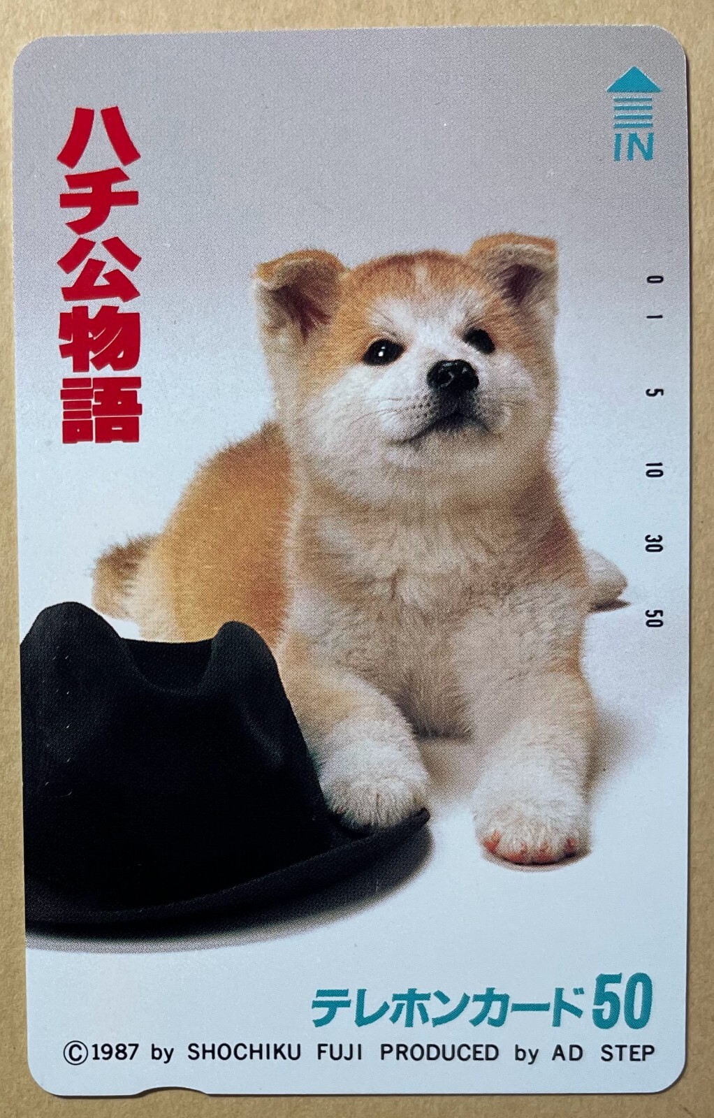 HACHI⁺ପ( * ु°͈ᗜ​°͈)ु ページ HACHIKO (HACHI) MONOGATARI Japanese Shiba Dog Movie