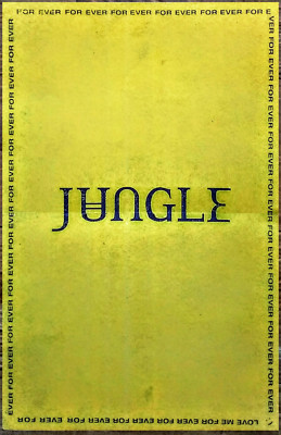 JUNGLE For Ever Ltd Ed New RARE Tour Poster +BONUS Indie Soul Rock Poster