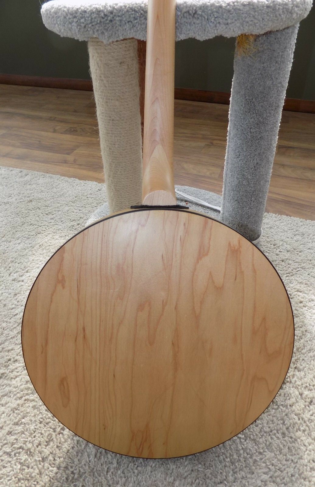 Deering Goodtime II Tenor Banjo