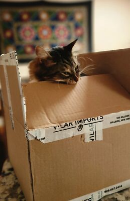 Artikelfoto(s) von einem verifizierten Käufer