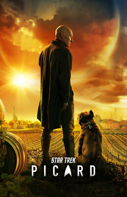 AA4126 Star Trek Picard Show By Alex Kurtzman 2020 Movie Poster 11x17