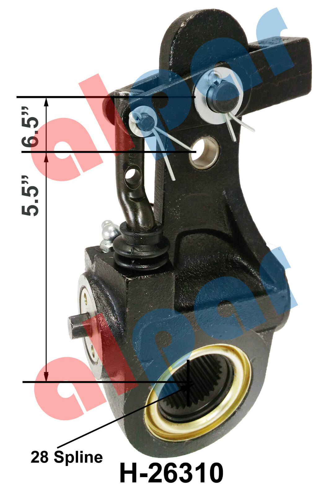 28 Spline 5.5