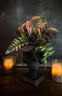 Violent Delights Floral Arrangement | Venus Fly Trap | Pitcher Plant | Tislandia