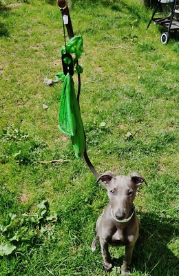Multiple dog leash holder top
