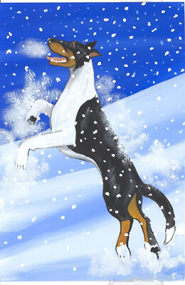 Collie ( Smooth )  8 x 10 ,  Print  '' Snow Dancer  ''   Signed by artist