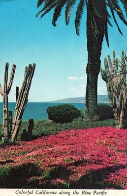 VINTAGE POSTCARD PALLISADES PARK SANTA MONICA CALIFORNIA MAILED 1976 SERRATED