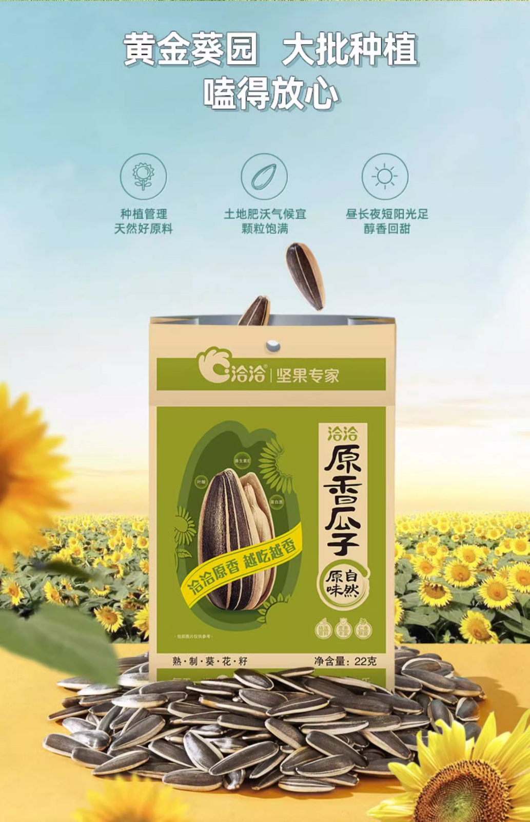 洽洽原香瓜子 Qiaqia Sunflower Seeds Original Flavor Chinese