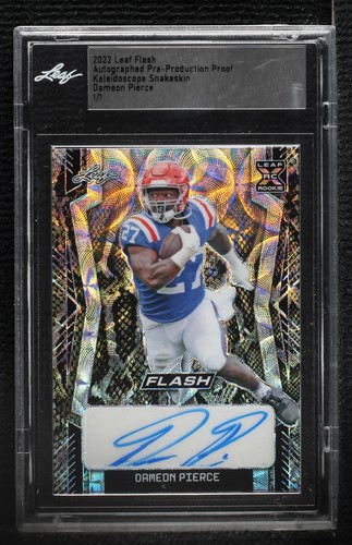 2022 Leaf Flash Dameon Pierce #BA-DP2
