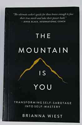 THE MOUNTAIN IS YOU BY BRIANNA WIEST USA stock Fast Shipping Paperback