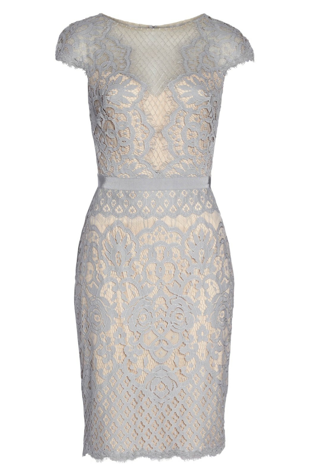 Прозрачное иллюзионное платье TADASHI SHOJI серо-розового цвета телесного цвета с вышивкой и фестонами 2 = XS