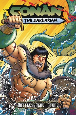 Conan Barbarian Battle Blackstone #1 (Of 4) Cover E Tony Fleecs