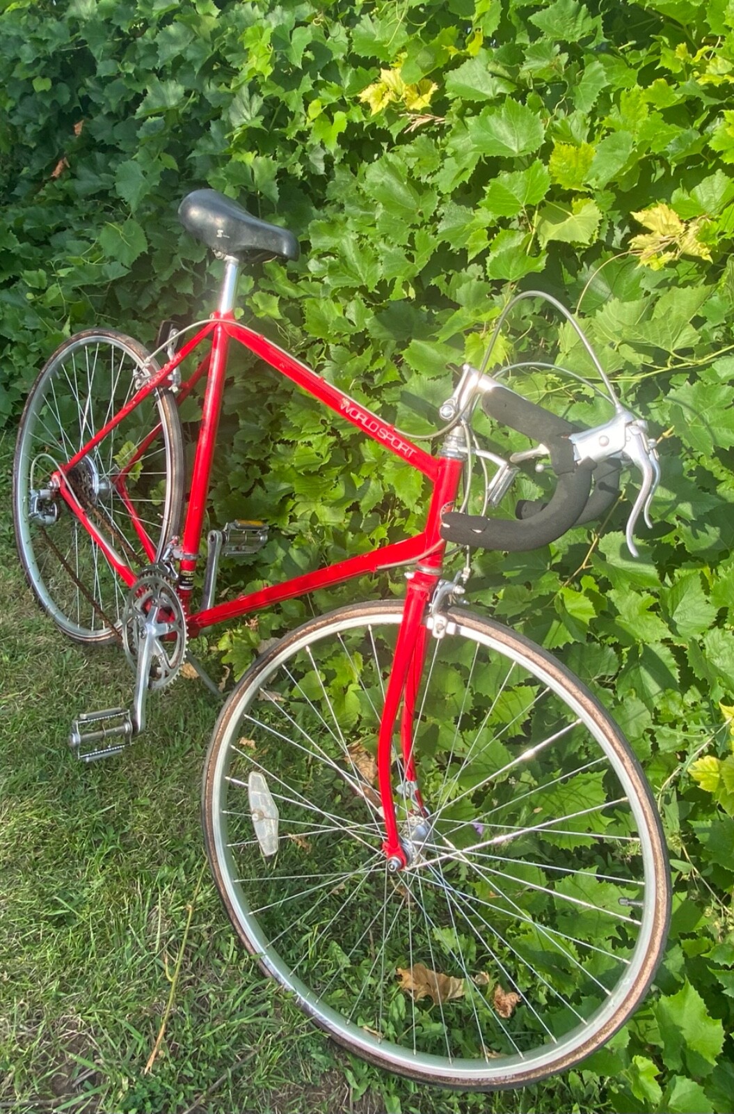 1984 Schwinn World Sport Touring Road Bike 54cm Small Lugged Steel