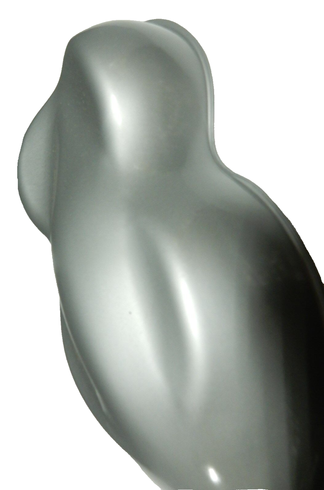 # 916 High Gloss Silver Metallic Single Stage Acrylic Enamel Gallon Kit