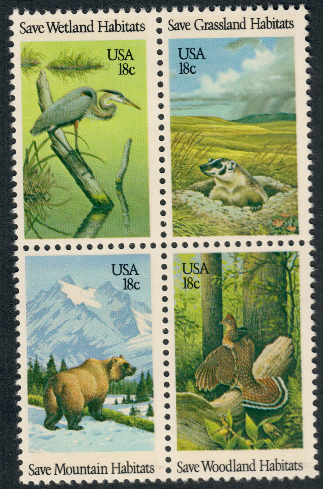81jhkXaeI0L._UF350,350_QL50_.jpg