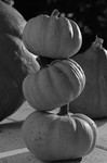 pumpkin_boo