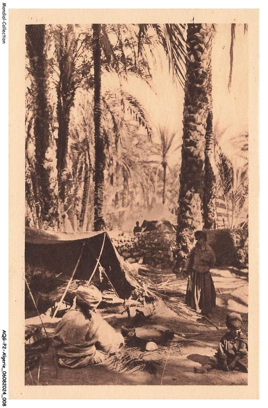 Aqgp2-0072-Algerie - Scenes Et Types - Aures - Campement Dans Une Oasis
