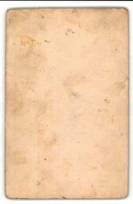 Cabinet Card Circa 1890s C.m. Wheeler. 3 Children Baby Boy Girl Junction City Ks — additional view