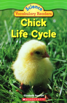 Chick Life Cycle