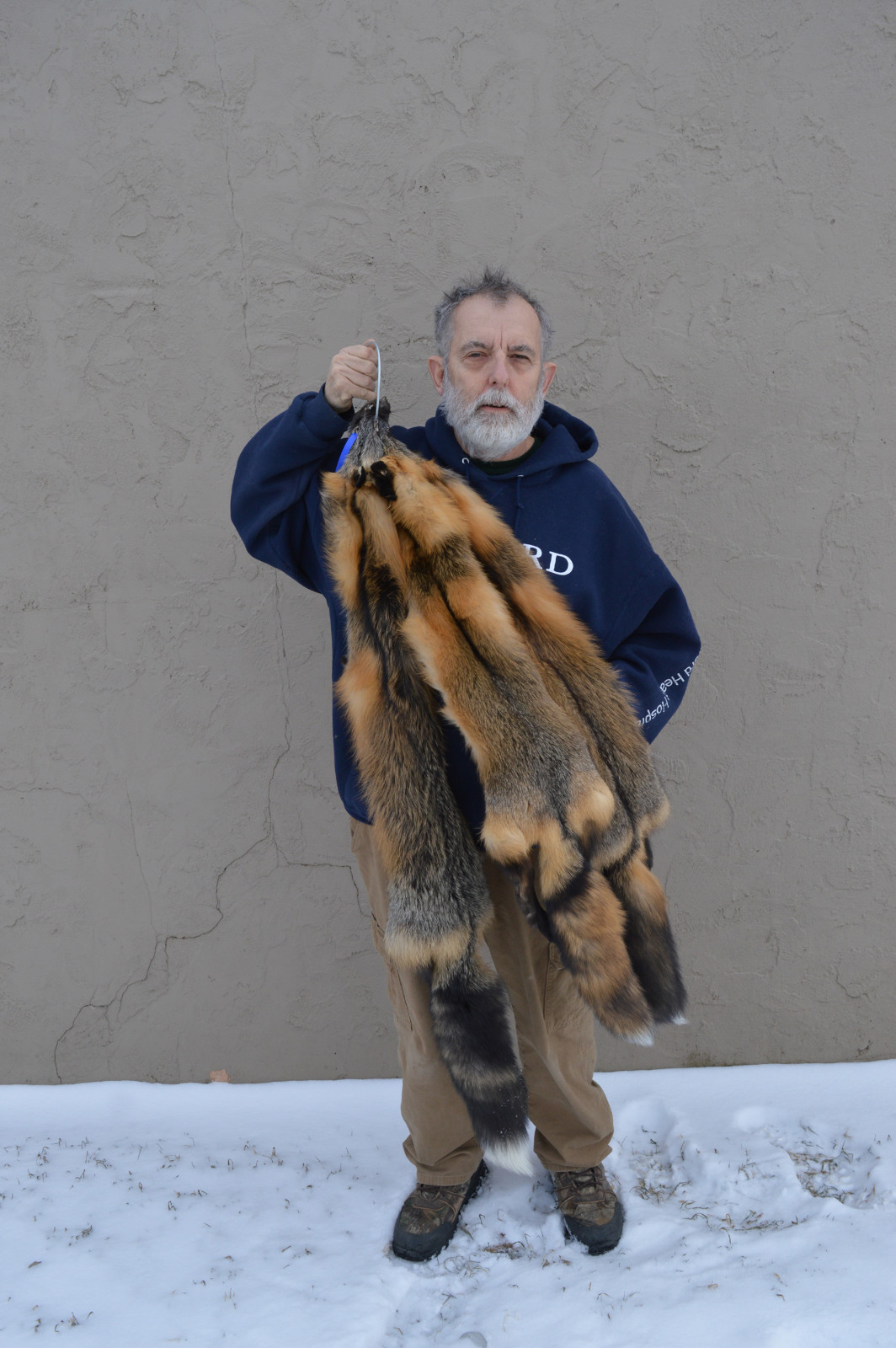 Tanned Cross Fox Hide, Wall Hanger, striking, fur, soft, crfxexcellent