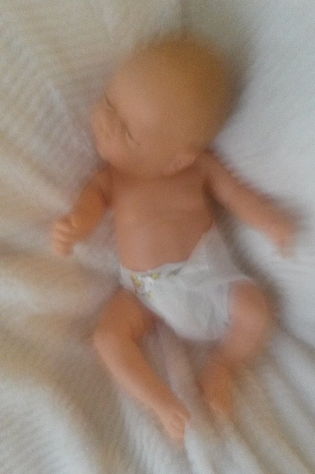 ANATOMICALLY CORRECT 20