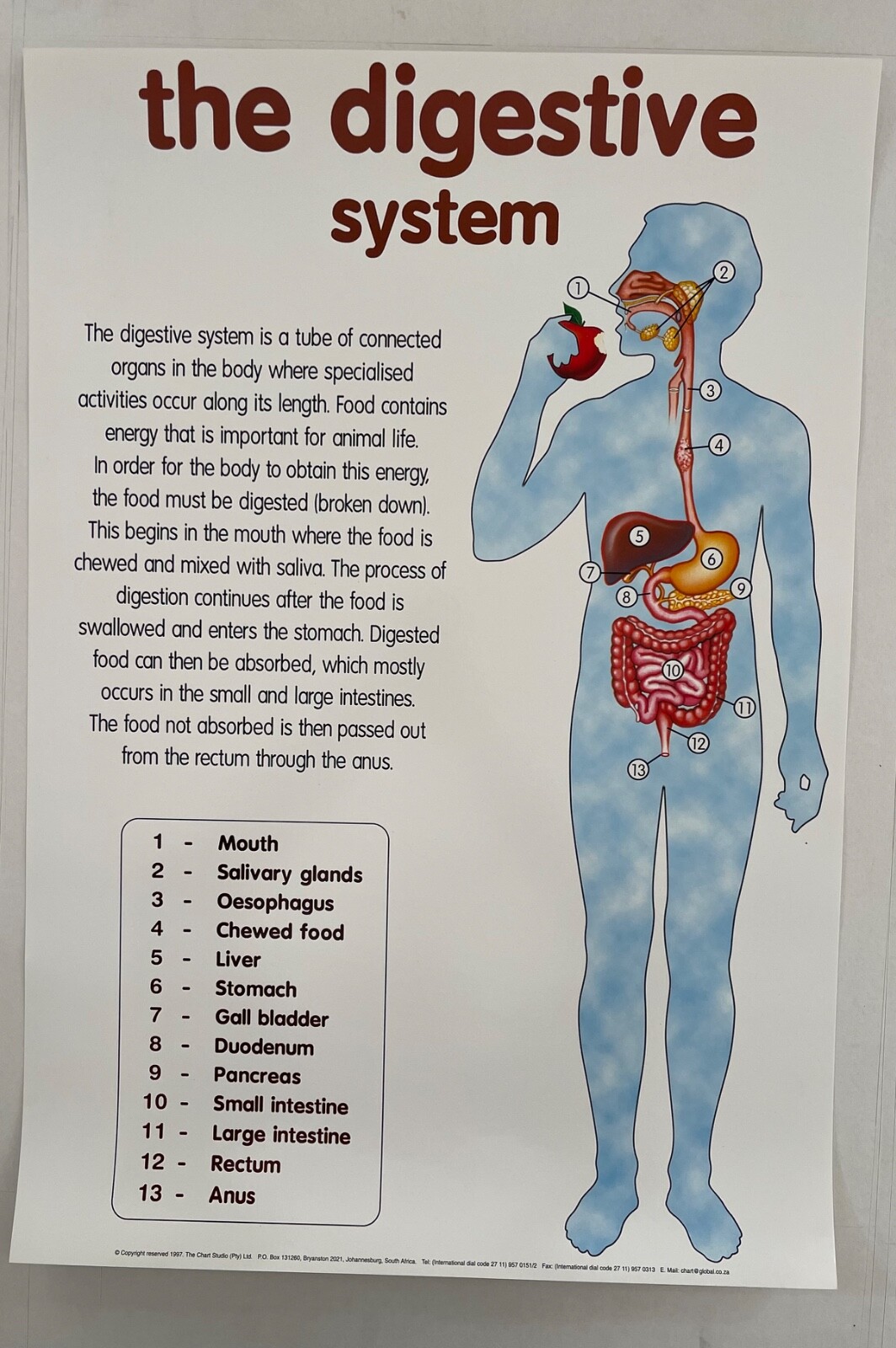 $_57.JPG?set_id=880000500F