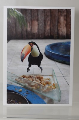 Portraits: Wolfgang Tillman】シュリンク包装未開封品 Wolfgang