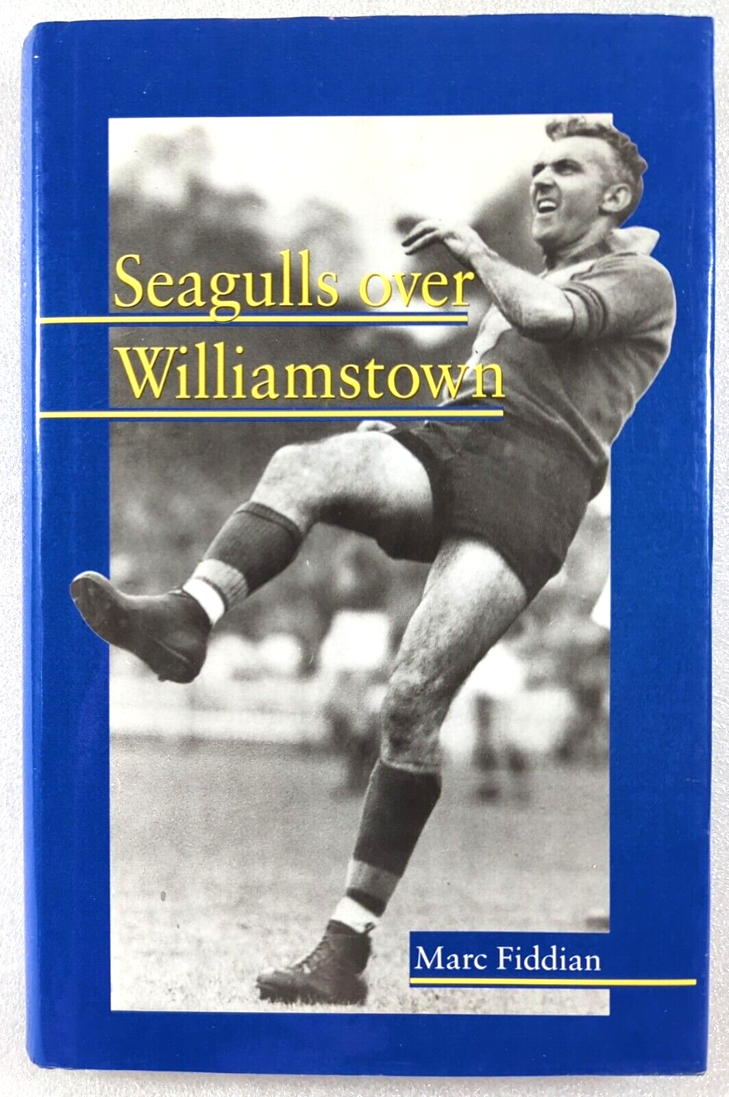 Seagulls Over Williamstown by Marc Fiddian