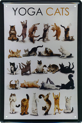 Katzenliebhaber Blechschild 20x30cm Katze Haustier Katzensprüche Katzenmotiv