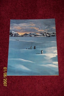 Beach Boys  CONCERT PROGRAM ---1981