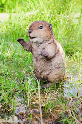 American Beaver Cub Standing Garden Statue, Garden Decoration, Home Decoration