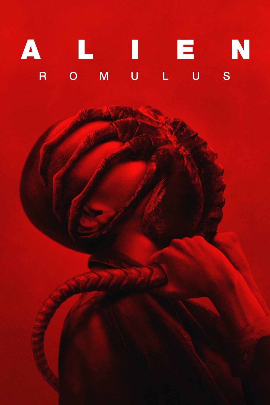 エイリアン　ロムルス　ポスター　映画 alien romulus dolby New posters for 'ALIEN: ROMULUS' Dolby/Cinemark : r/LV426